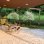 Garden River Jahorina - Sarajevo *